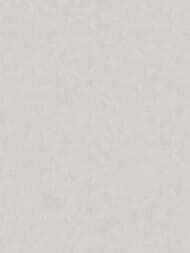 ���� ��������� �� ��������� Wall Up Estetica (1,06x10,05) ������, ����� 655773 (���.)