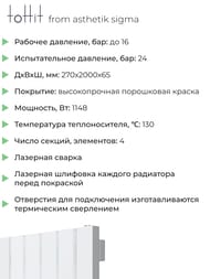 �������� �������� toHit from asthetik sigma, 4 ������, 270�2000�65, 1148 ��, ������������, ���������
