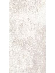 ������ ��������� Alma Ceramica Piemonte (249x500) ����� TWU09PMT404 (��.�)