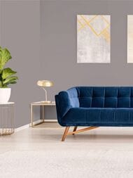 ���� ������������ Hygge 77 Colors C5 01 (1,00�10,05) ����� (���.)