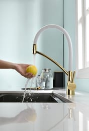 ��������� ��� ����� SIEGEN, ������, ����� �����, Si213111-Gw, Paulmark