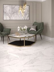 ��������������� ������ Gracia Ceramica Carrara Premium white PG 01 (600�600) ����� (��.�.)