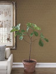 ���� ��������� �� ��������� Magnolia Home Contract (1,37�1,00) ���� MAG 1088 (���.�.)