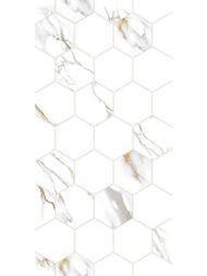 ������ ��������� Alma Ceramica Dublin (249x500) ����� TWU09DBL014 (��.�)