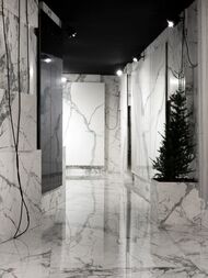 ��������������� ������ LAMINAM I Naturali Invisible White Luc.(1000�3000�5,6) LAMFF00870_IT (��.�.)