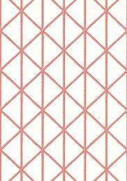 ���� �������� Thibaut Tropics (0,69�8,22) ������� T10137 (�����)