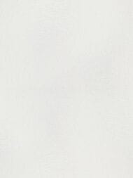 ���� ��������� �� ��������� Erismann Spotlight 2 ER12199-01 (1,06�10,05) ����� (���.)