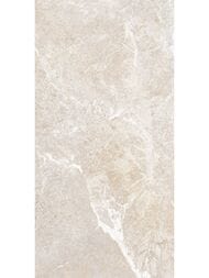 ������ ��������� Alma Ceramica Persey (249x500) ������� TWU2550PRS40 (��.�)