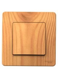  Systeme Electric BLANCA . 1- c.1, 10A, 250B,  BLNVS010105