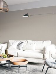 ���� ��������� �� ��������� Wall Up Step-Up (1.06x10.05) ���������, ������� 654721 (���.)