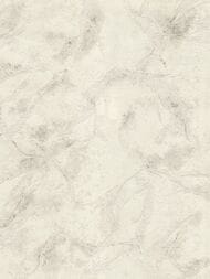 ���� ��������� �� ��������� Decori&Decori Blumarine  5 (1,06�10,05) ��� ������, ����� 29055BM (���.)