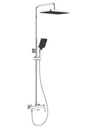 ������� ������� � ���������� �������-��������������, ������ � ������� ����� , FRAP ����, F2484