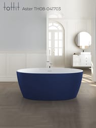    toHit Aster 1700760580,  , , TH08-041703