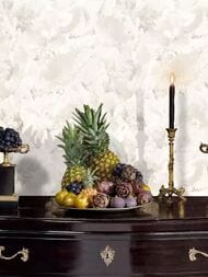 ���� ��������� �� ��������� Wiganford Teodoro (1,06�10,05) ������, �������, WG5116  (���.)