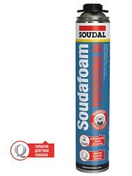 ���� ��������� SOUDAL Professional 60 �����������, 750��.,  113985