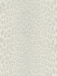 ���� ��������� �� ��������� ROBERTO CAVALLI  9 (1,06�10,05) ��������, ����� 21042 (���.)