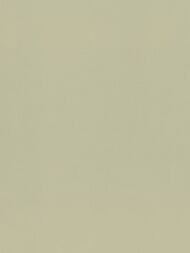     Rasch Novella (1.06x10.05) ,  983562 (.)