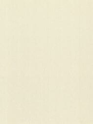 ���� ��������� �� ��������� Rasch Gentle Elegance (1,06x10,05) ���������, ������� 980363 (���.)