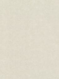     Rasch Wall Textures Xl III (1,0610,05)  965025 (.)