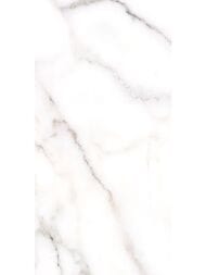 ������ ��������� Alma Ceramica Grigio (249x500) ����� TWU09GRG007 (��.�)