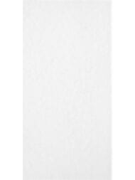 ������ ��������� Alma Ceramica Brenta (249x500) ����� TWU09MNR020 (��.�)