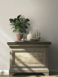 ���� ��������� �� ��������� Rasch Allegretto (0.53x10.05) ���������, ������� 542479 (���.)