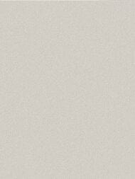 ���� ��������� �� ��������� Wall Up Step-Up (1.06x10.05) ���������, �����-������� 654714 (���.)