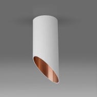 �������� ���������� Elektrostandard DLN114 GU10 a050119, �����