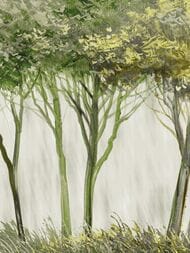 ����� Zambaiti Savana (3,0�5,1) ����� �� ���������, ������������, 77558 (���.)