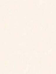 ���� ������������ Artsimple Valley (1,0�10,05), ������-������� ARTS13 101/2  (���.)