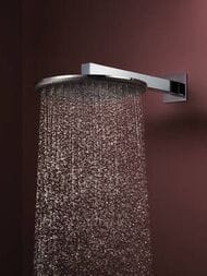 Верхний душ Hansgrohe Raindance Alive S 24540000 300 2jet с держателем, хром — изображение 3