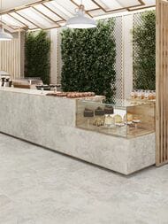 ��������������� ������ Porcelanite Dos Rapolano 1867 White (1000x1000) ��� ������ (��.�.)