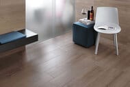 ��������������� ������ Atlas Concorde Etic Rovere Grigio (225�900) �����, AJ8H (��.�.)