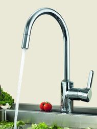  KLUDI BINGO STAR  ,  ,  428520578