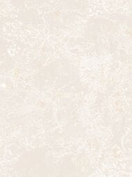 ���� ��������� �� ��������� Wiganford Milenium I (1,06�10,05) ����������, ������� AK2642 (���.)