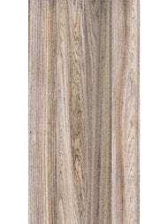 ������ ��������� Alma Ceramica Dublin (249x500) ���������� TWU09DBL404 (��.�)