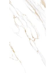 ������ ��������� Alma Ceramica Dublin (249x500) ����� TWU09DBL004 (��.�)