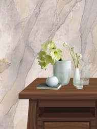       (1,0610,05)  AR11181-04 ()