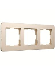  Werkel  3  Platinum () W0032611
