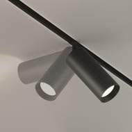 �������� ���������� Maytoni Focus Led Exility (����� ���) TR032-2-20W3K-S-B 3000K 20�� 24�, IP20, ������