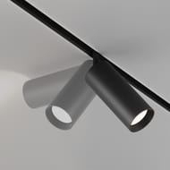 ���������� �������� Maytoni Focus TR032-2-20W3K-M-B