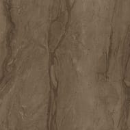 ��������������� ������ Coliseumgres Venezia Marrone (450�450) ���������� (��.�.)