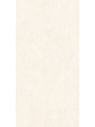 ��������������� ������ Alma Ceramica Berlin (600x1200) ������� GFU60120BLN04R (��.�)