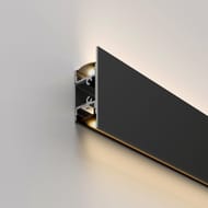 ����������� ��������� ������� Elektrostandard LL-2-ALP022 a066621, ������