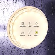 ������������ ����� Maytoni Led Strip 10131 12� 5050 14,4��/� 3000K 5� IP65, �����
