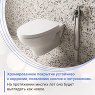 Смеситель Paini Aosta настенный (накладной), однозахватный, гигиенический душ, хром 92CR304KM