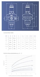Редуктор давления мембранный Officine Rigamonti RIO EXPORT 1/2" PN25 от 1 до 7 бар OR.224.G.04