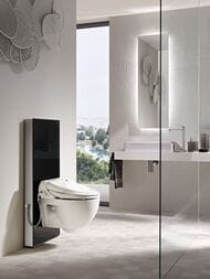 ������-���� GEBERIT AquaClean 4000 �����   146.130.11.2