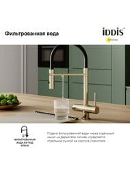 Смеситель Iddis ACE для кухни, с каналом для фильтров. воды, гибкий излив, золото матовое ACEMGFFi05