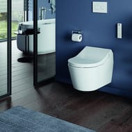 Сиденье-биде TOTO WASHLET RX EWATER+ (386x579x146) с пультом ДУ, белое TCF894CG#NW1